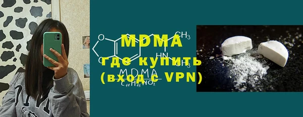 сатива Бородино