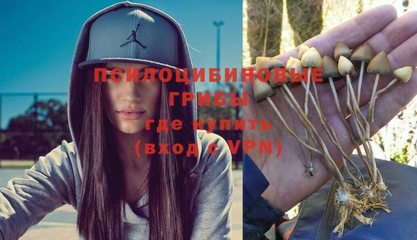 спайс Белокуриха