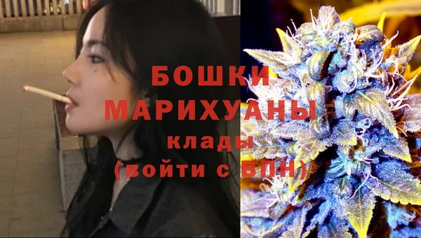 крисы Верхний Тагил