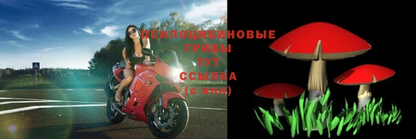 крисы Верхний Тагил