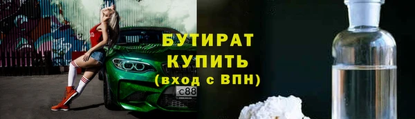 сатива Бородино