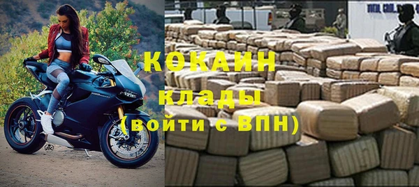 сатива Бородино