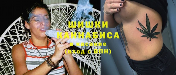 молекула духа Бронницы