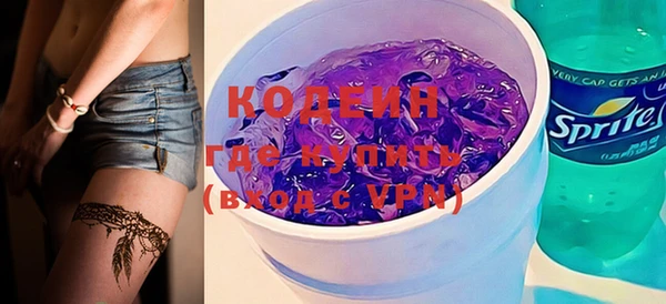 крисы Верхний Тагил