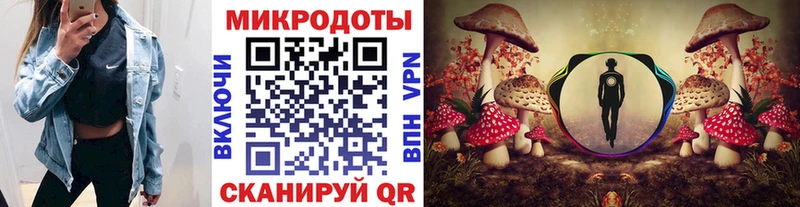 хочу   Вельск  Галлюциногенные грибы мицелий 